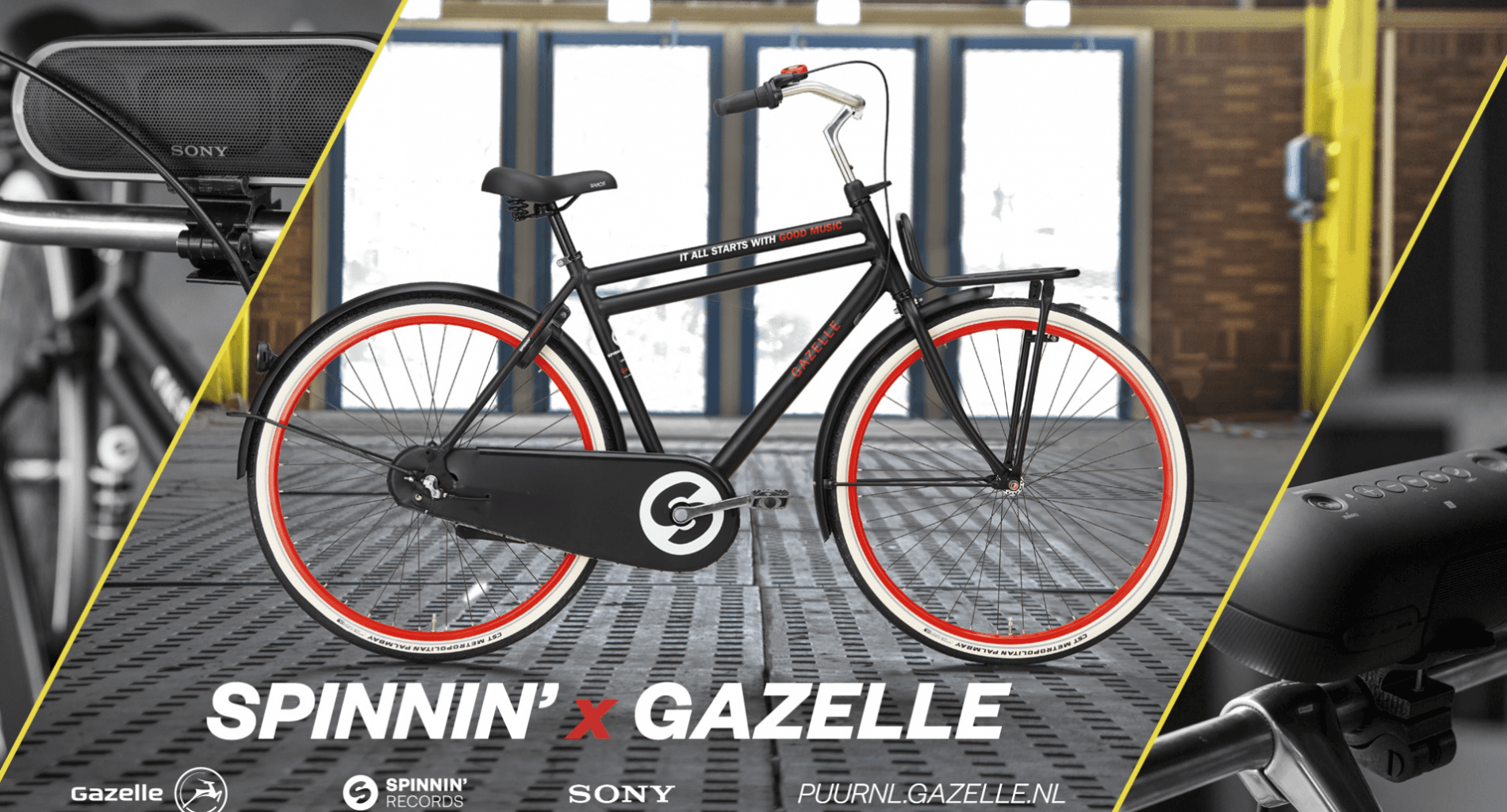 gazelle limited edition