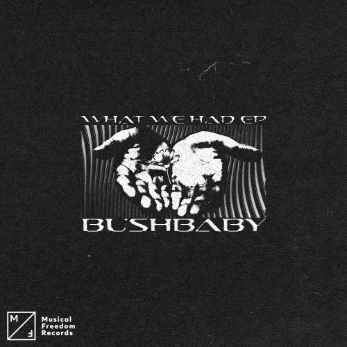 Bushbaby - What We Had EP | Musical Freedom | Spinnin' Records