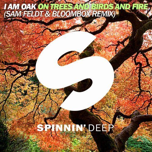 On Trees And Birds And Fire (Sam Feldt & Bloombox Remix)