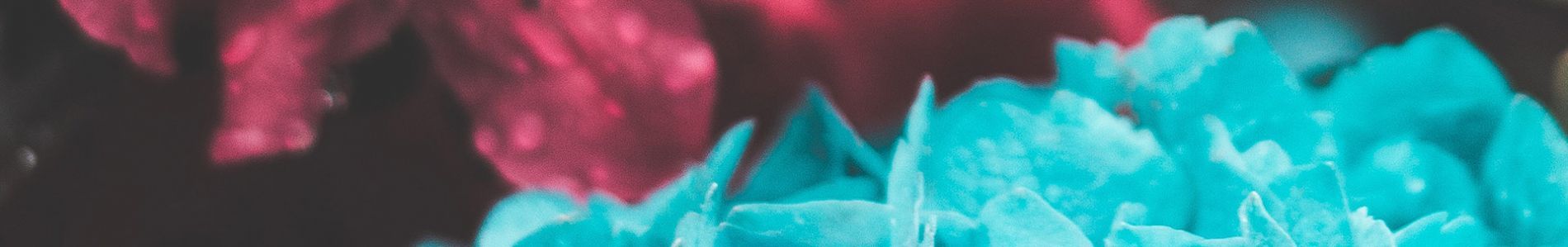 Beautiful War header