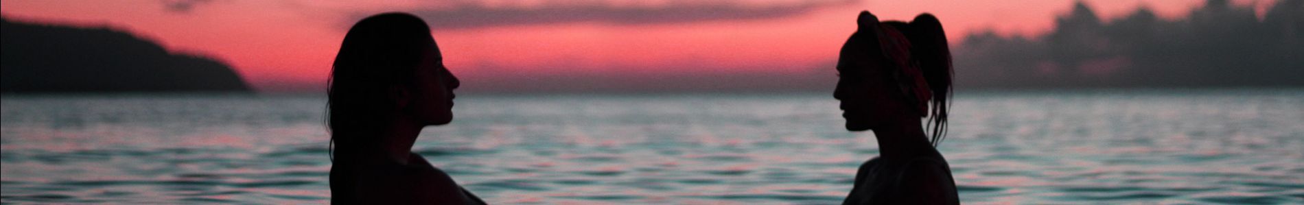 Won't Let You Down header