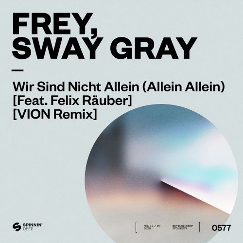 Wir Sind Nicht Allein (Allein Allein) [feat. Felix Räuber] [VION Remix]