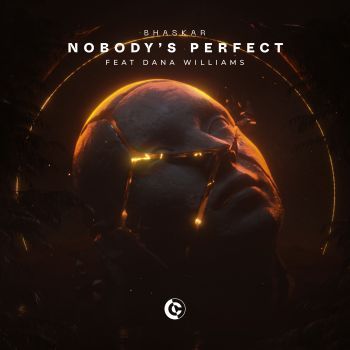 Nobody's Perfect (feat. Dana Williams)