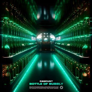 Bottle of Bubbly