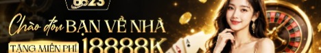 link6623vnnet