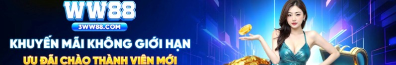 3ww88com