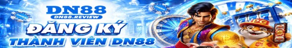 dn88review