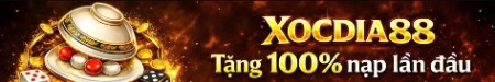 xocdia88study
