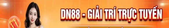 dn881com