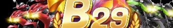 b29fcom