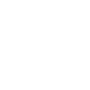 Vaidraarrix