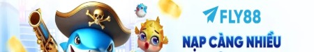 fly88legal