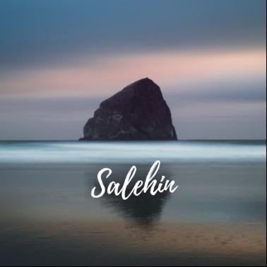 Salehin