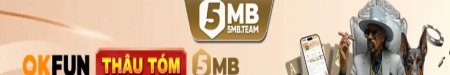 5mbteam