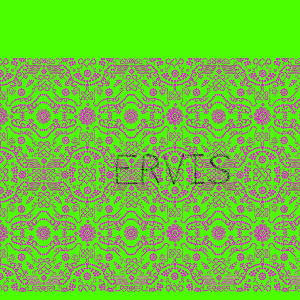 Ervis