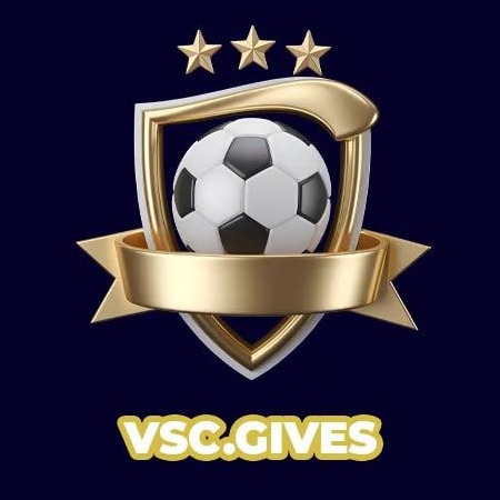 vscgives