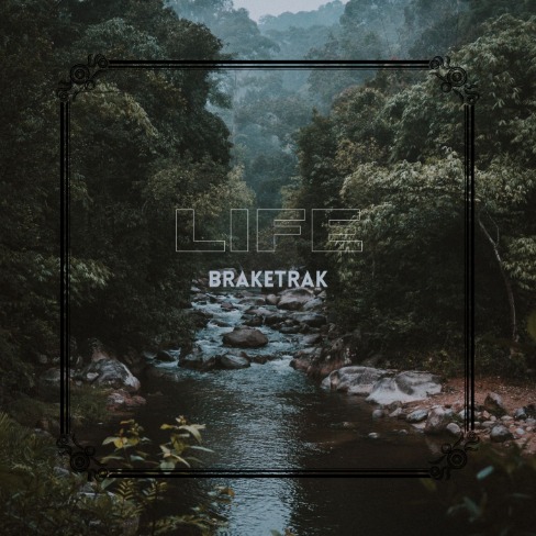 BrakeTrak