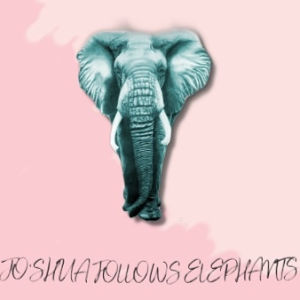 Jo'shua Follows Elephants