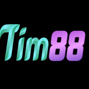 tim88info1