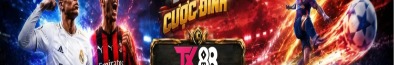txtx88com