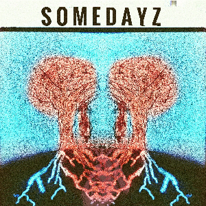 SomeDayz