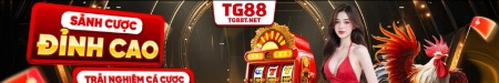 tg88tnet