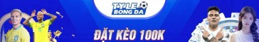 tylebongdavcom