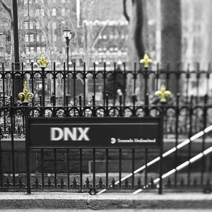 DNX