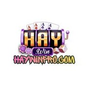haywinprocom