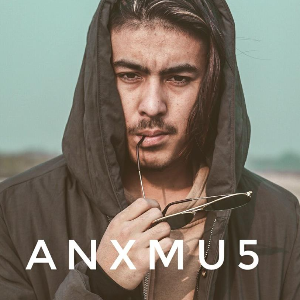 Anxmu5.Music