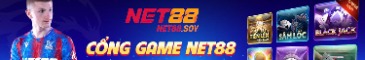 net88soy