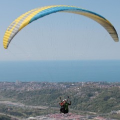 Путешественник