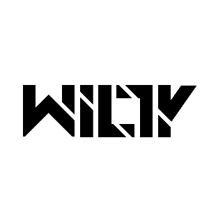 Willy music