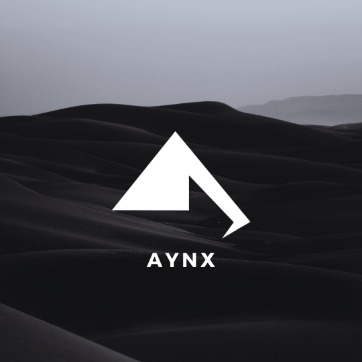 aynx music