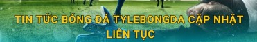 tylebongdacocom