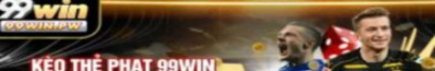 99winpw