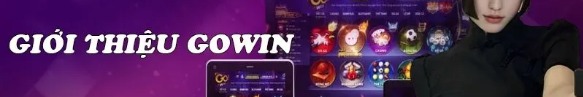gowincocom