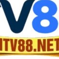 tv88net