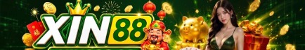 xin88sco