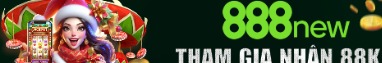888newnet2