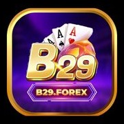 b29forex
