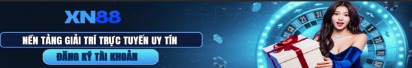 xn88znet