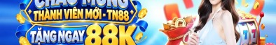 ymtn88com
