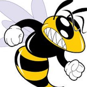 Bee Blizz