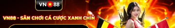 vn88zzcom