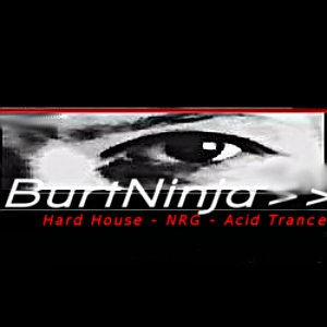 BurtNinja