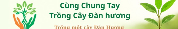 danhuongvietnamvn