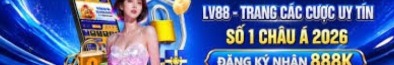 lv88t1com
