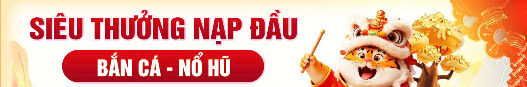 8kbettwebsite1