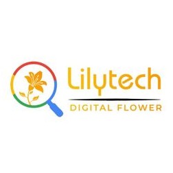 lilytechcomvn